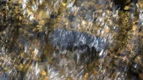 Clear flowing water that is transparent to the bottom #1 Stock Footage 291917388