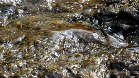 Clear flowing water that is transparent to the bottom Stock Footage 291917410