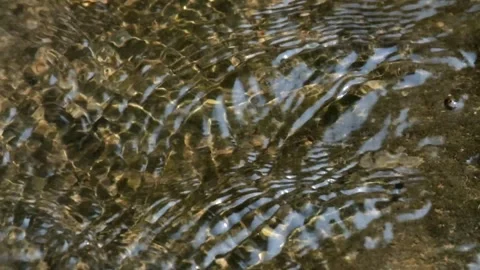 Clear flowing water that is transparent to the bottom. Видео 291917414