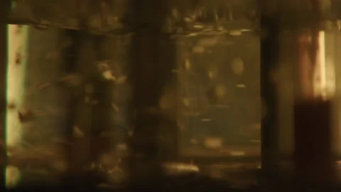 Clear fluid with bubbles is beeing mixed in medical laboratory, pharmacy concept Stock Footage 153475562