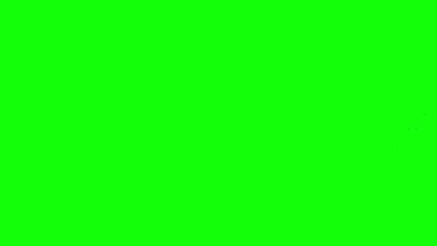Clear flying in screen flock of the birds Green screen element Stock Footage 130597250