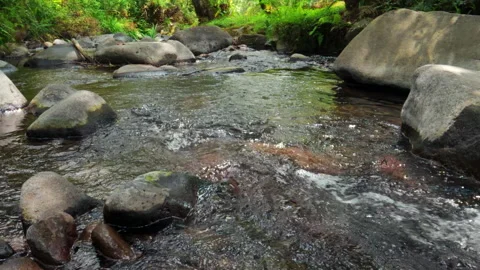 Clear Forest Creek Flowing Over Natural River Rocks Stock Footage 334898626
