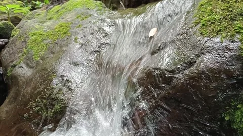 Clear Forest River Flowing Through Natural Stones Stock Footage 329775518