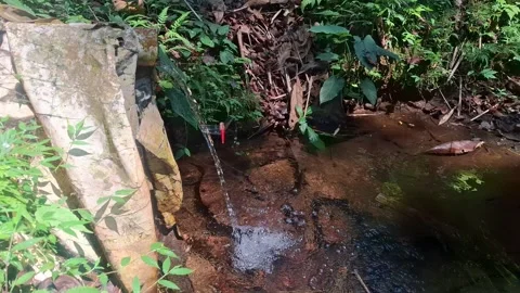 Clear forest spring water flowing from a rustic pipe into a tranquil stream. Stock Footage 346026562