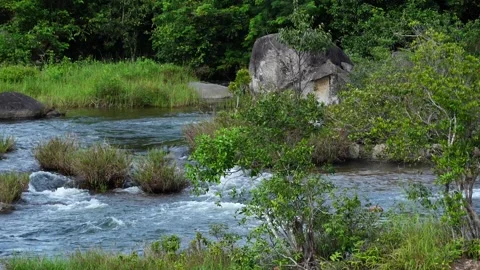 Clear Forest Stream Cascading Around Large Boulders and Foliage 스톡 동영상 344232265