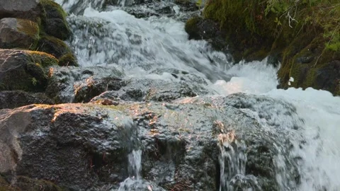 Clear forest stream cascading over moss covered rocks and forming a small Stock Footage 340503539