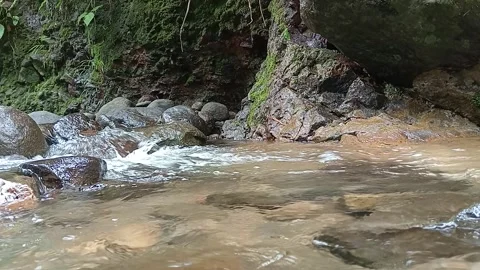 Clear Forest Stream Flow Over Rocks Close Up Natural Water Texture Stock Footage 330582620