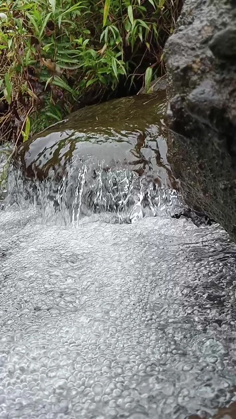 Clear Forest Stream Flowing Over Rocks with Natural Water Sound Stock Footage 330519285