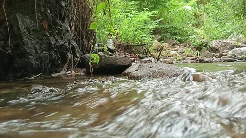 Clear Forest Stream Flowing Over Rocks Fresh Natural Water Stock Footage 330570028