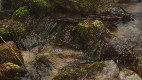 Clear forest stream flowing over mossy rocks Vídeo Stock 331575951
