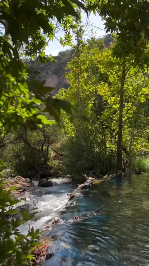 Clear Forest Stream Flowing Over Rocky Waterfall 库存影片 342267913