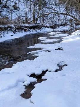 A clear forest stream flowing through a rocky ravine with snow Stock-Fotos