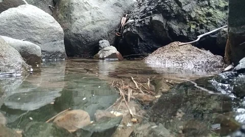 Clear Forest Stream Pool Surrounded by Large Natural Rocks Stock Footage 329783658