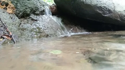 Clear Forest Stream Water Flowing Over Rocks in Tropical Nature Stock Footage 329754858
