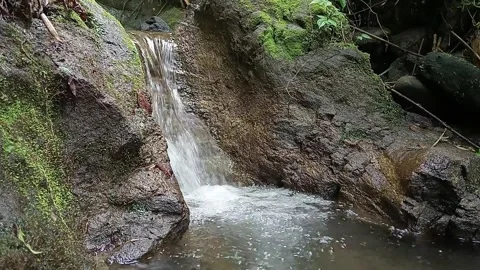 Clear Forest Waterfall Flowing Through Natural Rocks Tropical Jungle Landscape Stock Footage 329779483