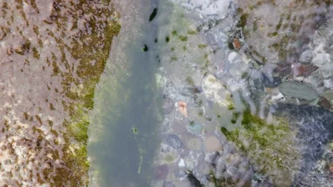 Clear fresh water flowing over dark green algae and pebbles 動画素材 346421934