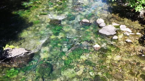 Clear, Fresh Water Flows Down a Beautiful River in the Pacific Northwest Stock Footage 339511396