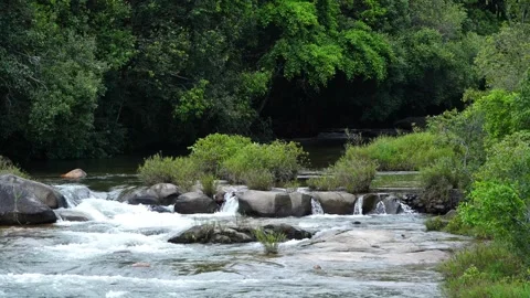 Clear Freshwater River Flowing Over Rocky Cascades in Forest 스톡 동영상 344231110