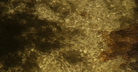 Clear freshwater stream with rippling sunlight and rocky bottom Vídeos de archivo 335661702
