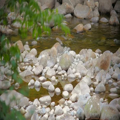 Clear Gentle Stream Stock Footage 69535644