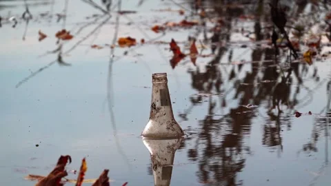 Clear glass bottle floating among autumn leaves in a calm river Video stock 329828041