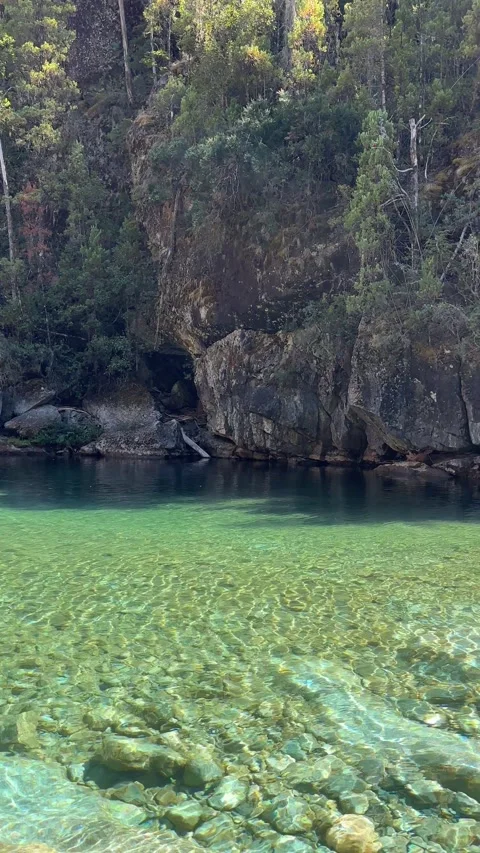 Clear green-blue river flowing through forested valley Stock Footage 310611141