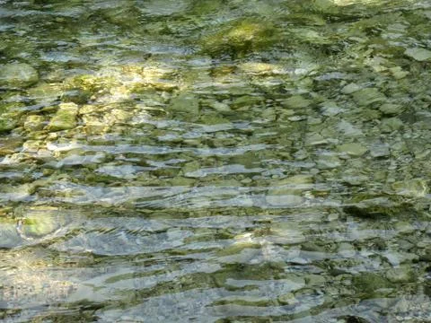 Clear green river waters Stock Photos