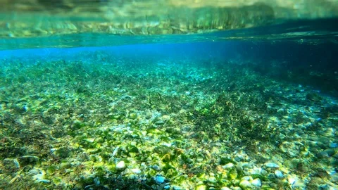 Clear Green Underwater Stock Footage 119467658