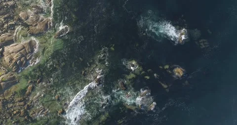 Clear green water over sandy bottom The concept of purity Video stock 327469846