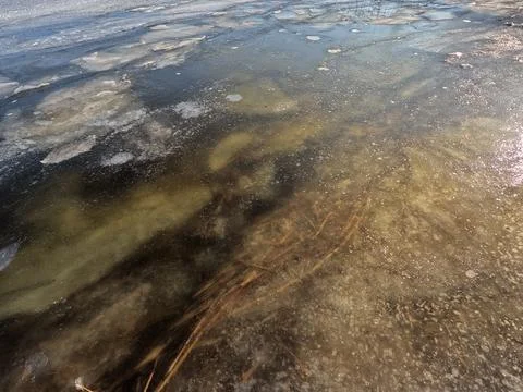 Clear ice on the river. ice texture. the ice is melting. spring thaw. froze.. Stock Photos
