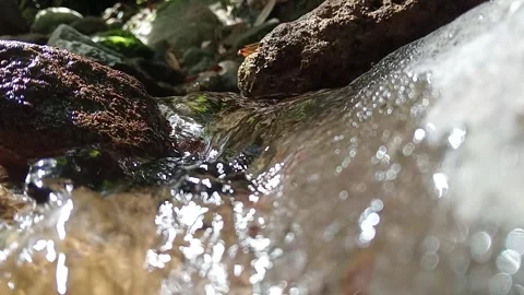 Clear Jungle River Stream Flowing Over Natural Rocks Stock Footage 329767217