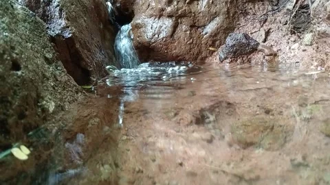 Clear Jungle Stream Flowing Through Tropical Rocks Stock Footage 329773478