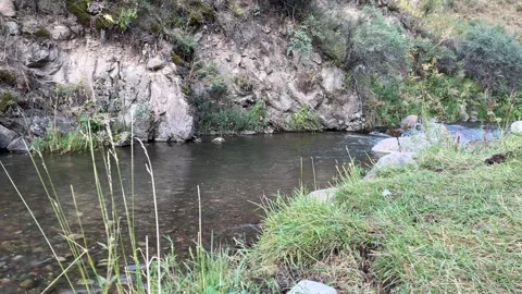 Clear Kastek River Flowing over Rocks in Mountain Gorge Stock Footage 342750489