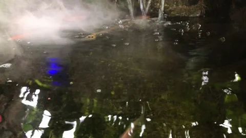 A clear koi fish pond with flowing water and mist Stock Footage 231447675