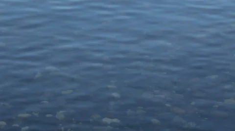 Clear lake and rocks below water Video stock 34486247