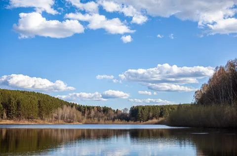 A clear lake in a green forest. Blue sky with white clouds over a lake Stock Photos