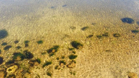 Clear lake water with ripples Stock Footage 106934574