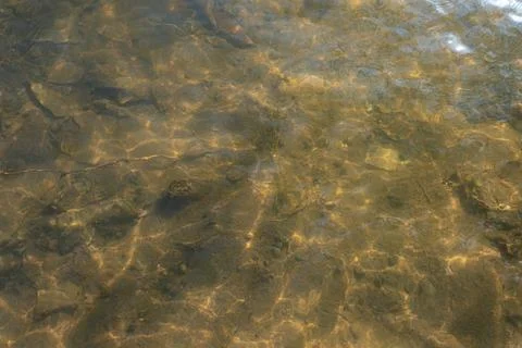Clear Lake Water Surface Texture Sunny Day Ripples Tranquil Scene Natural 库存照片