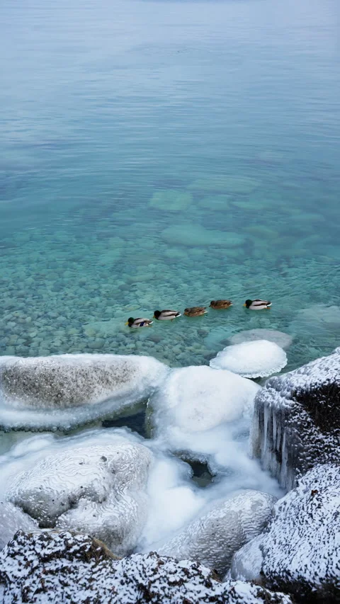 Clear lake water in winter, empty shot Stock Footage 329195532