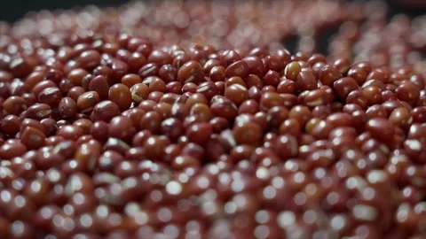 Clear Live Filming of Mixed Grains Stock Footage 319608936