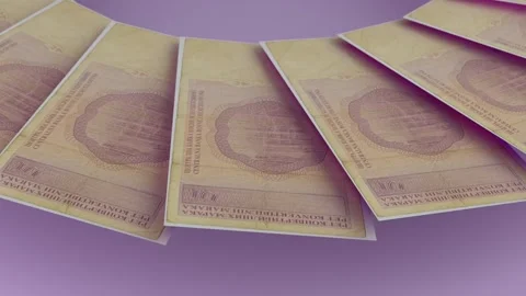 Clear Looping Design 5 Marka Curency of Bosnia and Herzegovina Stock Footage 303702755