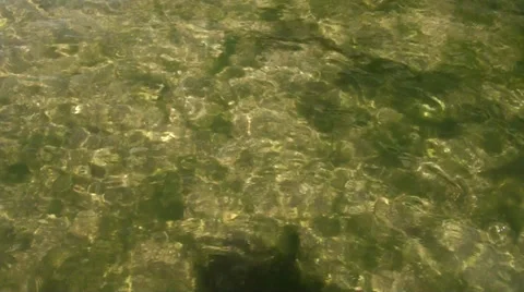 Clear marine water of elements of coast Stock Footage 36213826