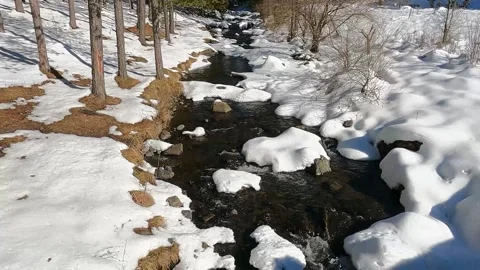Clear mountain creek covered by melting snow Stock Footage 289577313