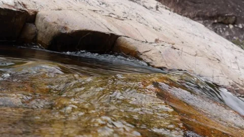 A clear mountain creek flows over mossy rocks, its gentle movement bringing a Stock Footage 313381709