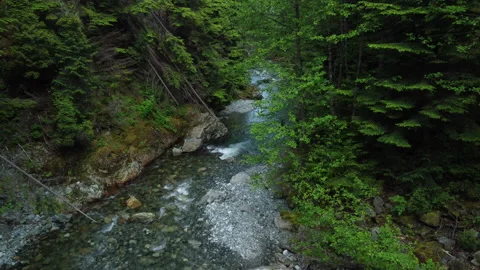 A clear mountain creek flows through a ravine Stock Footage 163156909