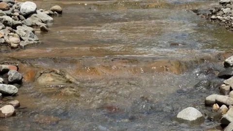 Clear mountain creek Stock Footage 336878279