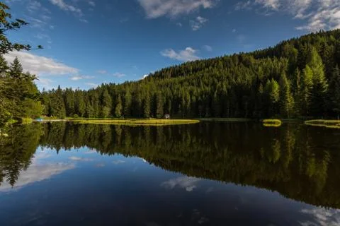 Clear mountain lake with reflection from the forest Stock Photos