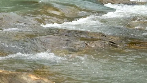 Clear mountain river cascade flowing over rocks in pristine natural landscape Stock-Footage 336878021
