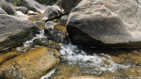A clear mountain river cascade Video stock 321861490