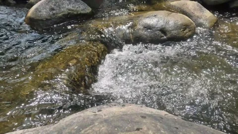 A clear mountain river cascade Stock Footage 321861503